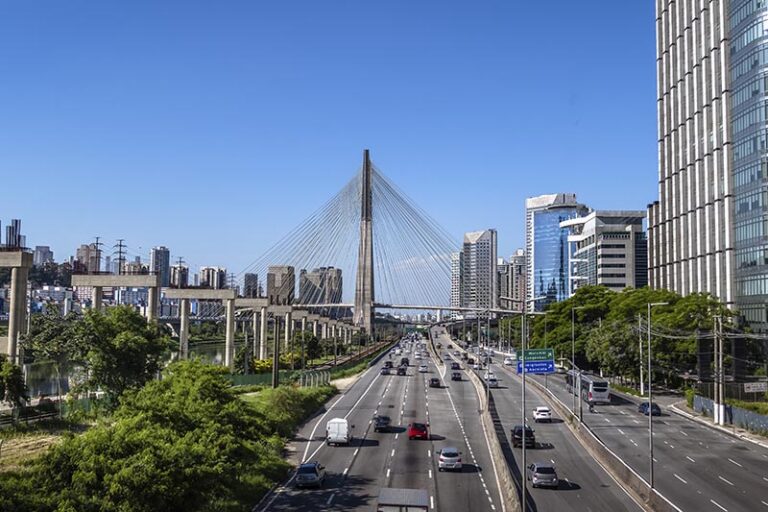 Crematório Pet São Paulo